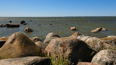 Dağılmış kayaları ve açık mavi gökyüzünün altında kuru otları olan kayalık deniz kıyıları. Sakin deniz suyu, güneşli bir günde sert kıyı manzarasıyla renksiz renklerle karşılaşır. Minimalist, şık ve modaya uygun bir kavram.