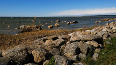 Dağılmış kayaları ve açık mavi gökyüzünün altında kuru otları olan kayalık deniz kıyıları. Sakin deniz suyu, güneşli bir günde sert kıyı manzarasıyla renksiz renklerle karşılaşır. Minimalist, şık ve modaya uygun bir kavram.