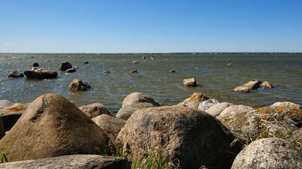 Dağılmış kayaları ve açık mavi gökyüzünün altında kuru otları olan kayalık deniz kıyıları. Sakin deniz suyu, güneşli bir günde sert kıyı manzarasıyla renksiz renklerle karşılaşır. Minimalist, şık ve modaya uygun bir kavram.