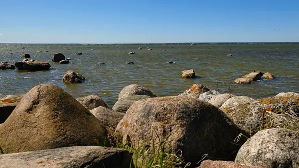 Dağılmış kayaları ve açık mavi gökyüzünün altında kuru otları olan kayalık deniz kıyıları. Sakin deniz suyu, güneşli bir günde sert kıyı manzarasıyla renksiz renklerle karşılaşır. Minimalist, şık ve modaya uygun bir kavram.