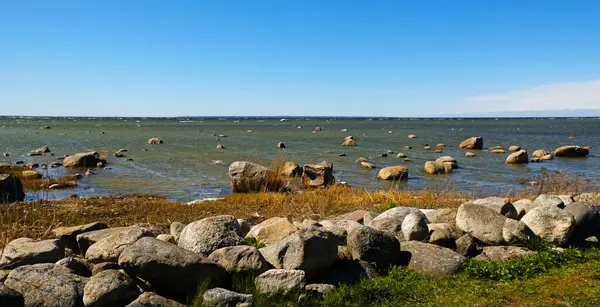 Dağılmış kayaları ve açık mavi gökyüzünün altında kuru otları olan kayalık deniz kıyıları. Sakin deniz suyu, güneşli bir günde sert kıyı manzarasıyla renksiz renklerle karşılaşır. Minimalist, şık ve modaya uygun bir kavram.