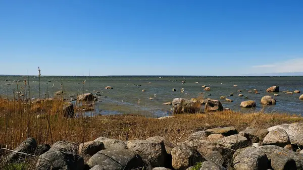 Dağılmış kayaları ve açık mavi gökyüzünün altında kuru otları olan kayalık deniz kıyıları. Sakin deniz suyu, güneşli bir günde sert kıyı manzarasıyla renksiz renklerle karşılaşır. Minimalist, şık ve modaya uygun bir kavram.