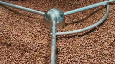 Kahve kızartma makinesinde kahve kızartılıyor. Kahve çekirdeklerini karıştırıyorum. Kavrulmuş dönen soğutucu profesyonel makineler ve fabrikada yakın plan koyu kahve çekirdekleri hareketi..