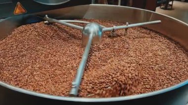 Kahve kızartma makinesinde kahve kızartılıyor. Kahve çekirdeklerini karıştırıyorum. Kavrulmuş dönen soğutucu profesyonel makineler ve fabrikada yakın plan koyu kahve çekirdekleri hareketi..