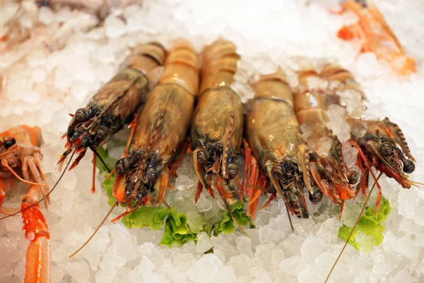 Buzlu deniz ürünleri pazarında taze karides. Mutfak deniz mahsulleri yiyor. Yüksek kalite fotoğraf