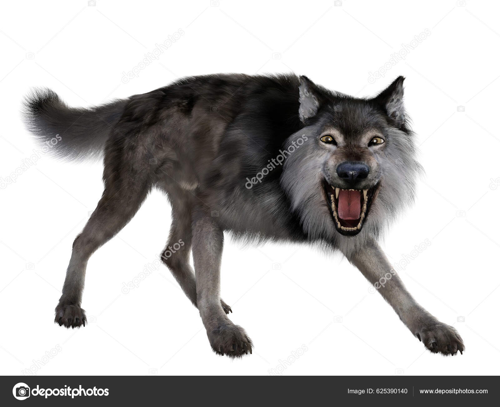 Carnivorous Dire Wolf Lived North South America Pleistocene Period ...