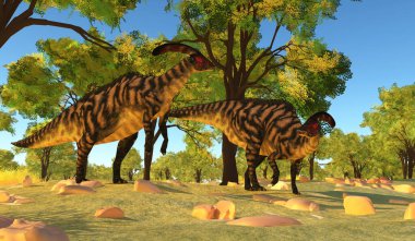 Parasaurolophus adı verilen otçul Hadrosaurlar Kuzey Amerika 'nın Kretase Dönemi boyunca yaşadılar..