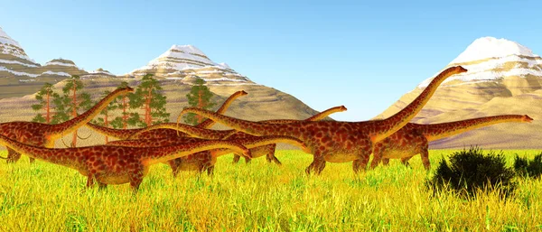 도루스 Diplodocus 쥐라기 시대에 북아메리카에 살았던 사우로 사우루스 공룡이다 — 스톡 사진