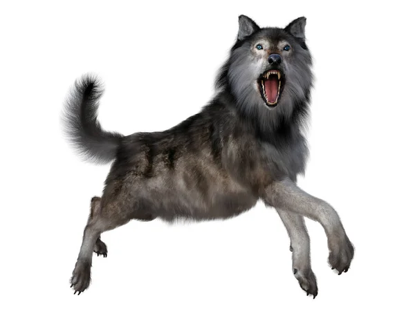 食肉狼在普列斯特世时期生活在北美和南美洲 — 图库照片