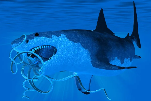 Subaquático Enorme Tubarão Megalodon Tenta Comer Polvo Gigante Durante Período — Fotografia de Stock