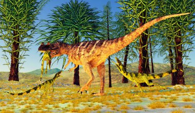 Etobur bir Theropod Ceratosaurus dinozoru Jurasik Dönem boyunca daha küçük bir Juravenator 'ü öldürür.. 