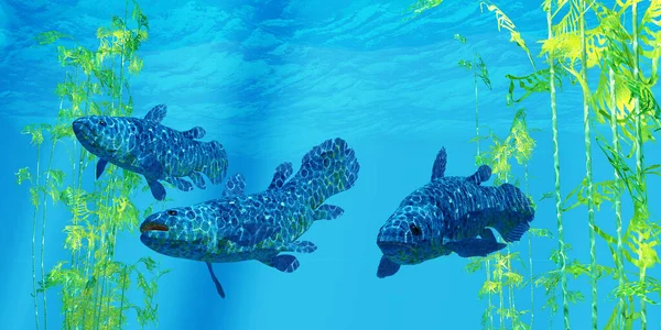 Coelacanth Vis Werd Verondersteld Zijn Uitgestorven Maar Bleek Zijn Van — Stockfoto