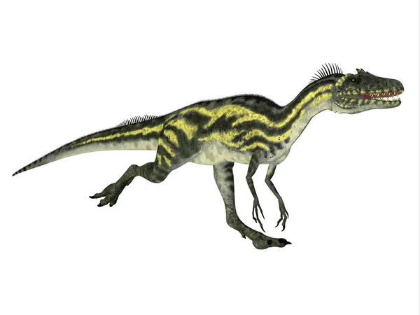 Deltadromeus Était Petit Dinosaure Théropode Carnivore Qui Vivait Afrique Crétacé — Photo