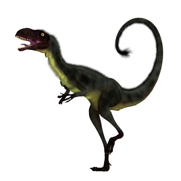 Dilong Een Vleesetende Kleine Gevederde Theropode Dinosaurus Die Leefde China — Stockfoto