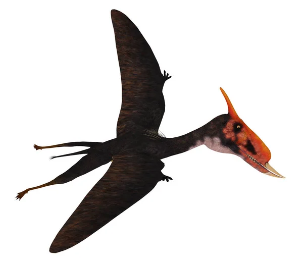 ズンガリプテルスだった白亜紀の期間中に 中国に住んでいた翼竜ラプター鳥 — ストック写真
