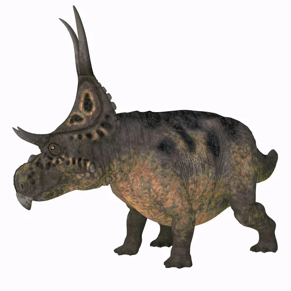 Diabloceratops 是一个有角的草食恐龙 居住在美国犹他州的白垩纪时期 — 图库照片