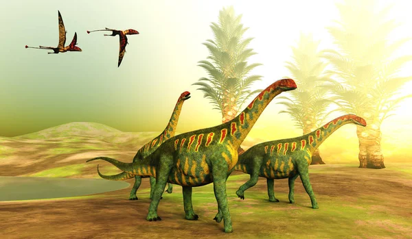 Los Pterosaurios Dimorfodontes Siguen Una Manada Dinosaurios Saurópodos Jobaria Durante — Foto de Stock