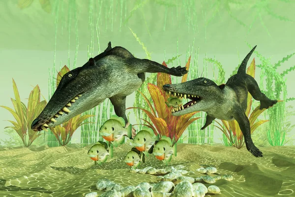 Ambulocetus Early Whale Could Walk Land Swim Water Eocene Period Ліцензійні Стокові Зображення