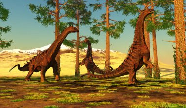 Alamosaurus adında bir grup Titanosaurus Çam ağaçlarının arasında yiyecek arıyor..