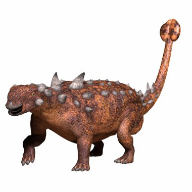 Euoplocephalus, Kretase döneminde Kanada 'nın Alberta kentinde yaşamış bir Ankylosaur zırhlı dinozorudur..