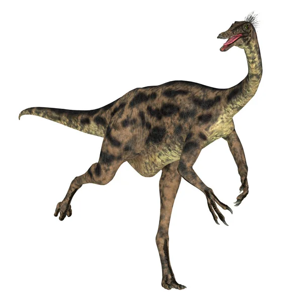 Gallimimus Était Dinosaure Théropode Omnivore Qui Vivait Mongolie Pendant Période — Photo