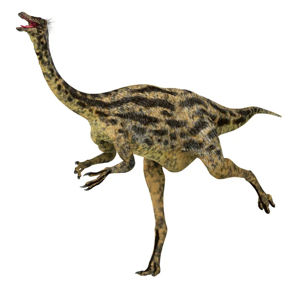 Gallimimus Foi Dinossauro Terópode Onívoro Que Viveu Mongólia Durante Período — Fotografia de Stock