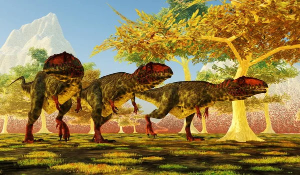 Giganotosaurus นไดโนเสาร เทอร โบไดโนเสาร ตอย ในอาร เจนต นาในช วงย Cretaceous — ภาพถ่ายสต็อก