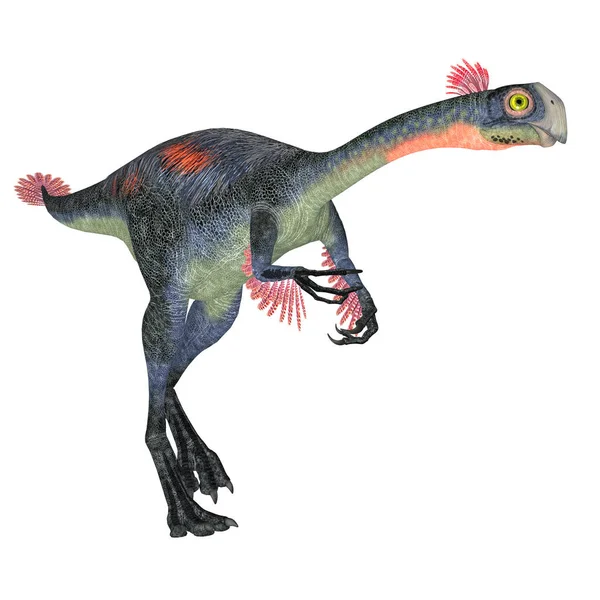 Gigantoraptor Był Teropoda Żyjącego Inner Mongolia Chiny Kredzie — Zdjęcie stockowe