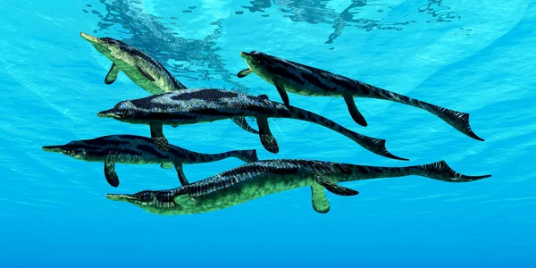 Cymbospondylus Byl Masožravý Mořský Plaz Který Žil Mořích Evropy Spojených — Stock fotografie