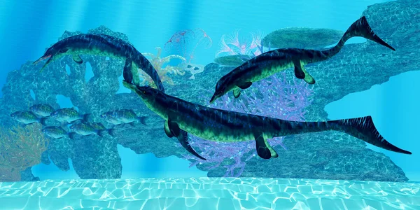 シンボスポンダイルス Cymbospondylus 三畳紀に欧米の海に生息した肉食性の海洋爬虫類である — ストック写真