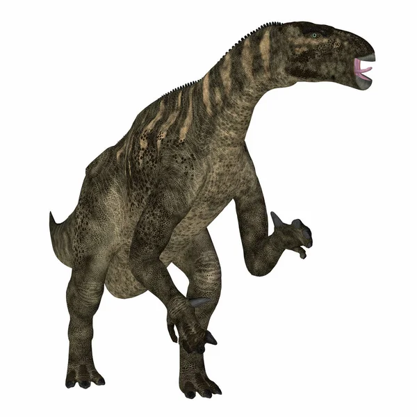 Iguanodon Était Dinosaure Ornithopode Herbivore Qui Vivait Europe Crétacé — Photo