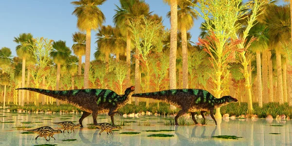 白垩纪 两只玛雅索拉哈德罗索龙护送它们的幼鱼穿越沼泽 — 图库照片