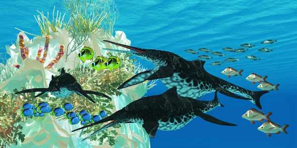 鱼龙鱼龙在水下礁石周围的鱼中游动 — 图库照片