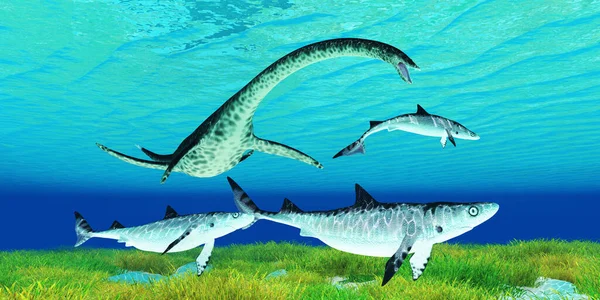 Predador Styxosaurus Plesiosaurus Caça Tubarões Hybodont Durante Período Cretáceo — Fotografia de Stock