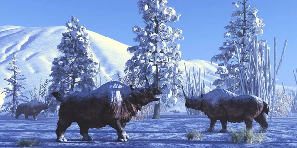 绵毛犀牛男性互相陪伴在更新世时期下雪的冬天 — 图库照片