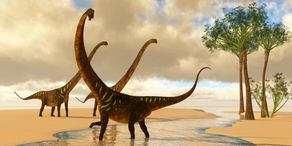 stock image Mamenchisaurus sauropod dinosaurs play in a stream with Wattieza trees grow nearby.