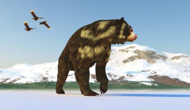 Arctodus was an omnivorous short-faced bear that lived in North America during the Pleistocene Period. clipart