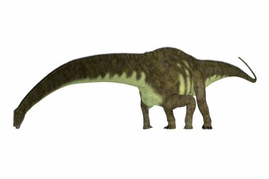 Mamenchisaurus, Çin'in Jura Döneminde yaşamış otçul bir sauropod dinozoruydu..