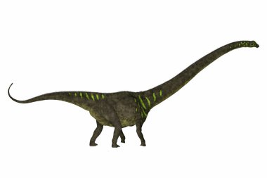 Mamenchisaurus bir bitki yiyen Dashanpu'daki dinozor Çin geç Jura döneminde yapıldı..