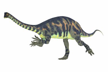 massospondylus Afrika Jura çağından prosauropod dinozor ve bir otobur olduğunu.