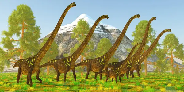 Mamenchisaurus bir bitki yiyen Dashanpu'daki dinozor Çin geç Jura döneminde yapıldı..