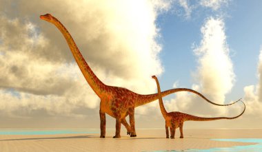 Diplodocus, Kuzey Amerika'da Jura döneminde yaşamış bir Dashanpu'daki otçul dinozordu.