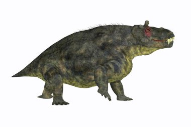 Estemmenosuchus uralensis was an omnivorous therapsid animal that lived in the Permian Period of Russia. clipart
