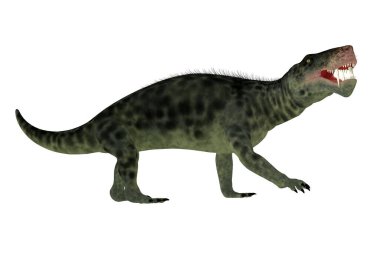 Inostrancevia, Permian Dönemi boyunca Rusya 'da yaşamış kediye benzeyen etobur bir hayvandır..