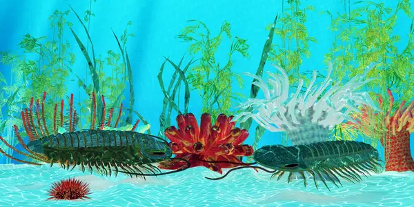 Trilobite ptychoparia hayvan Avrasya ve Kuzey Amerika, Kambriyen denizlerde yaşayan.
