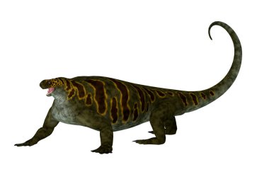 Cotylorhynchus Kuzey Amerika'da Permiyen döneminde yaşamış bir synapsid otçul sürüngen yapıldı..