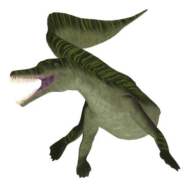 Mesosaurus was a carnivorous marine reptile that lived in the seas of Africa and South America during the Permian Period. clipart