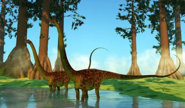 Diplodocus, Kuzey Amerika'da Jura döneminde yaşamış bir Dashanpu'daki otçul dinozordu.