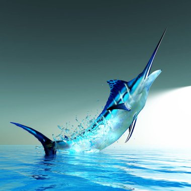 Atlantik mavi Marlin balığı en büyük Kemikli balıklar ve Atlantik Okyanusu popüler bir oyun balık.
