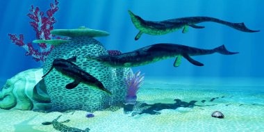 Cymbospondylus, Almanya ve Nevada'nın Triyas denizlerinde yaşayan erken etobur bir Ichthyosaur'du..